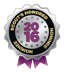 Somerville Auto Repair Award - Scout's Honored.jpg